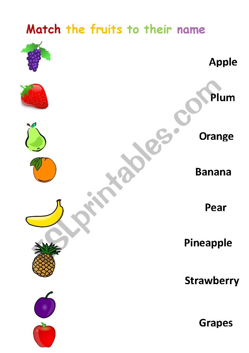 Match the fruits worksheet