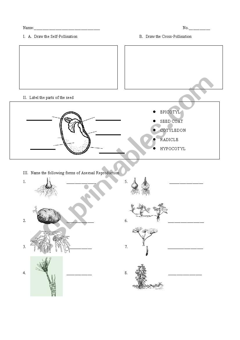 Reproduction worksheet