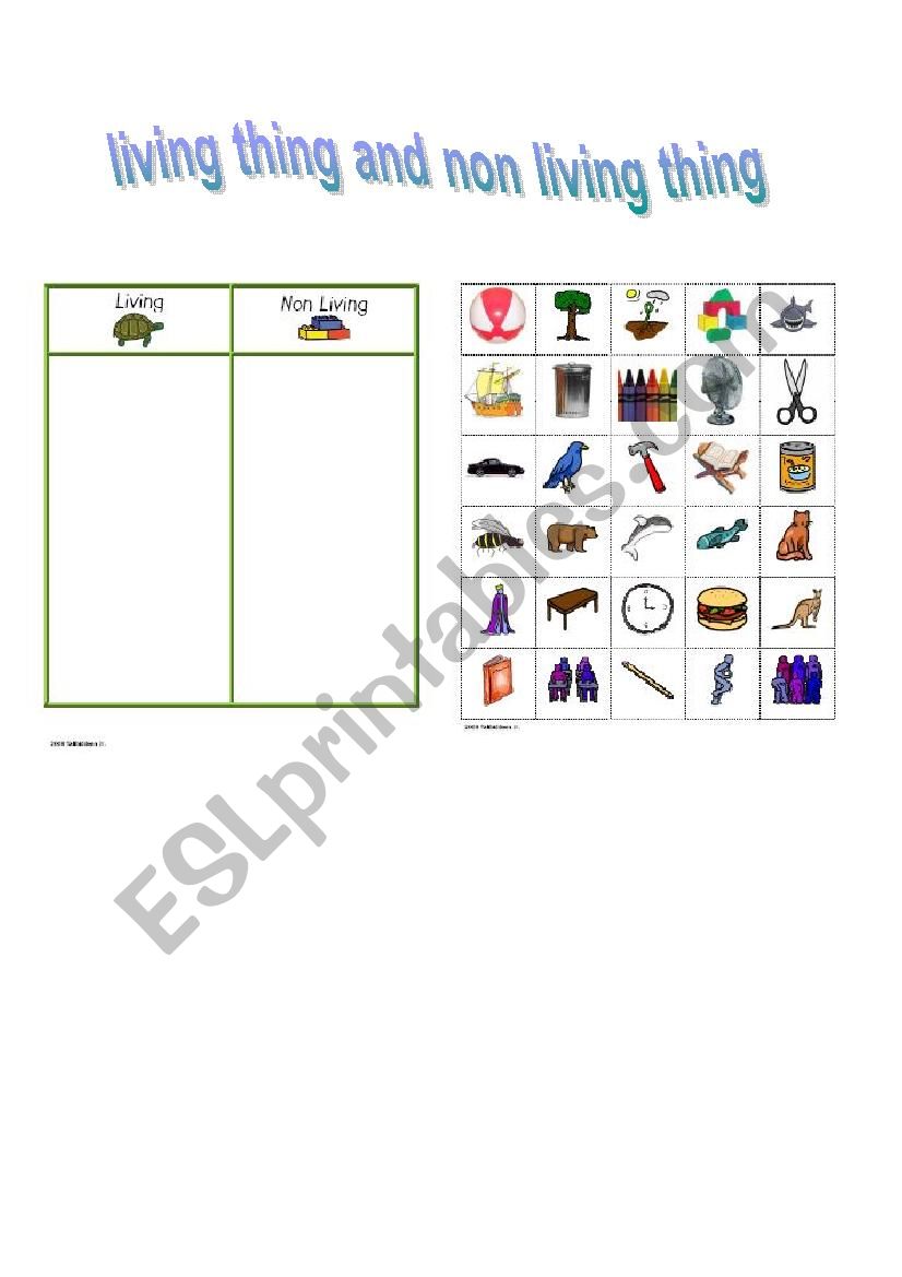 living thing non living thing worksheet