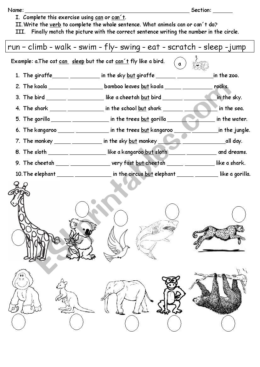 Using can or can´t - ESL worksheet by claumar2012