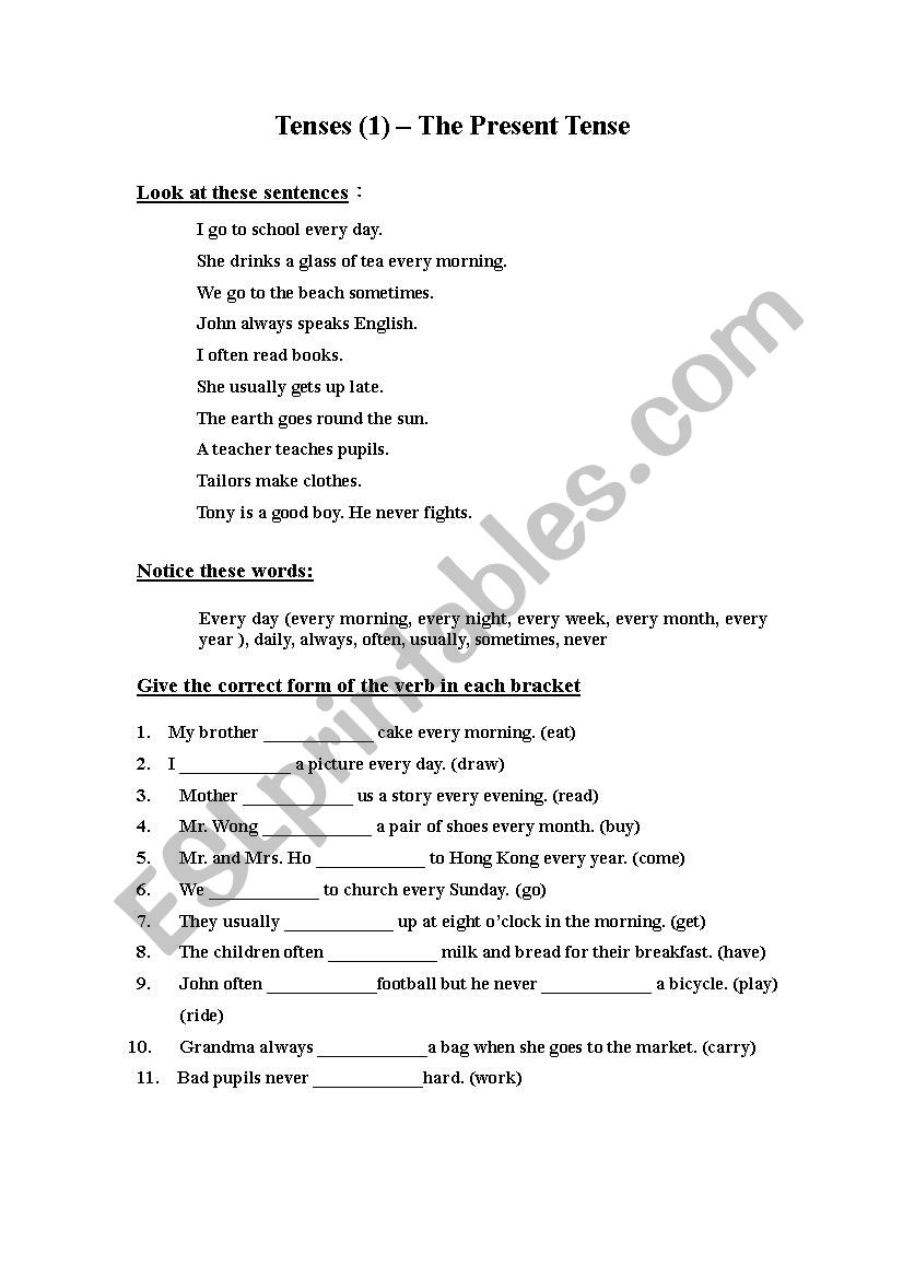 Simple Present Tense worksheet