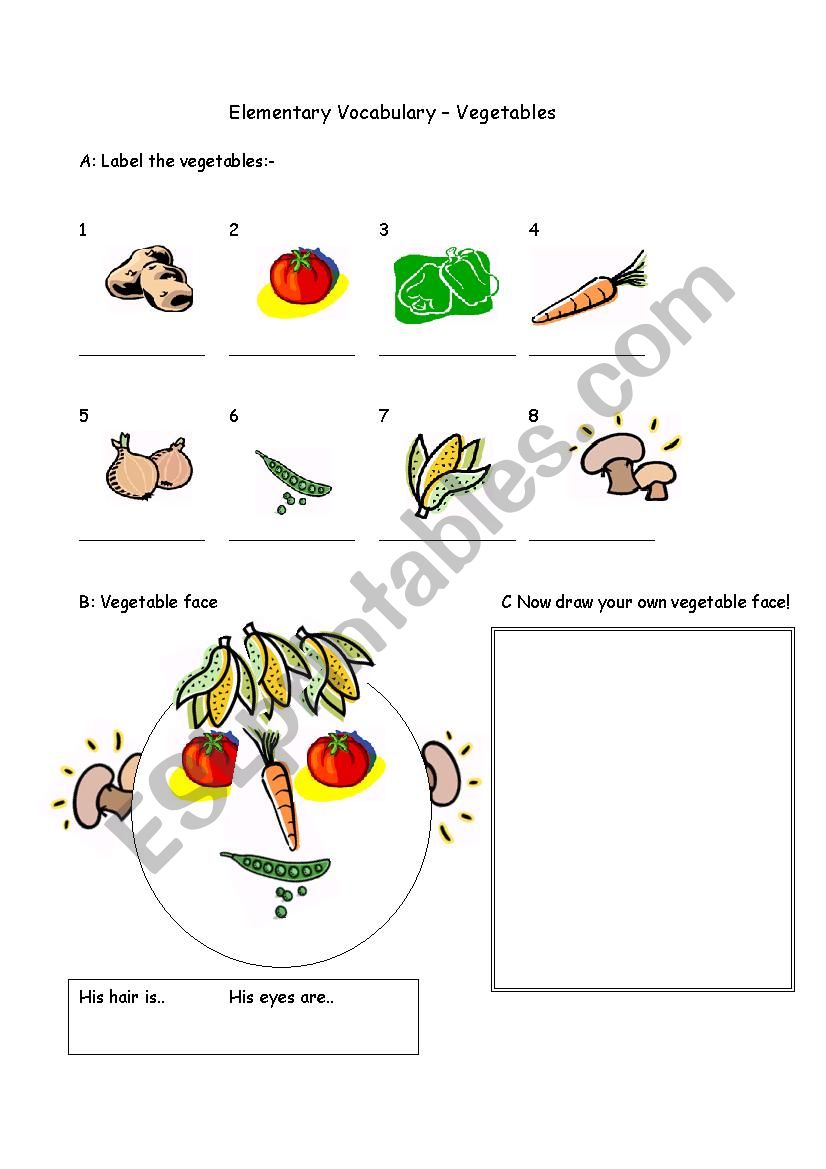  Vocabulary - Food - Vegetables