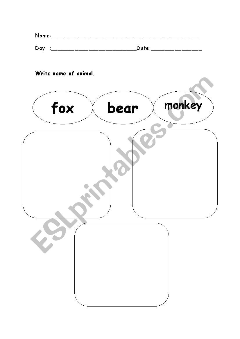 sea animal worksheet