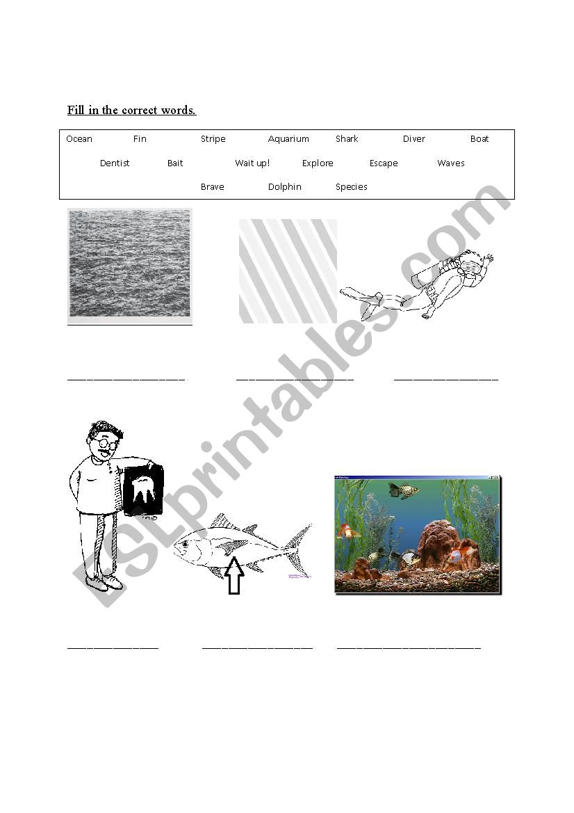 Ocean Vocab worksheet