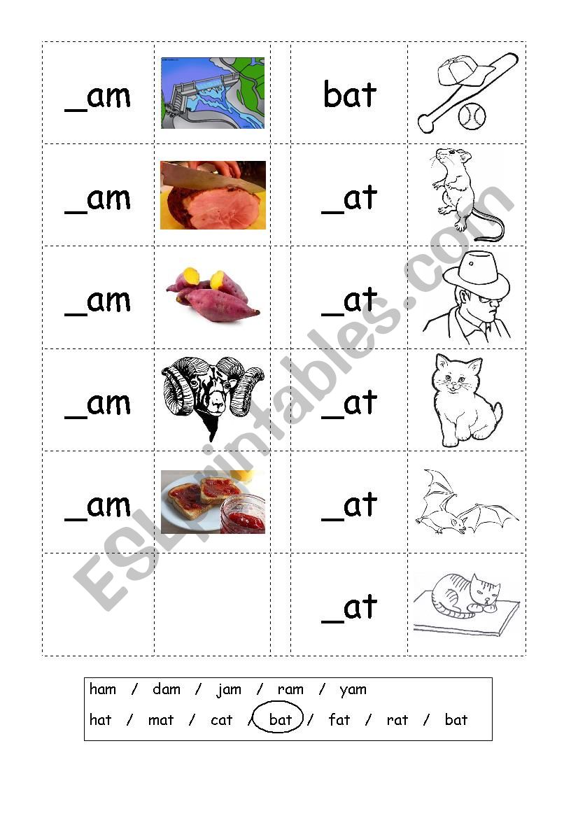 Phonics 3 Letter Words CVC Writing AM AT ESL Worksheet By 