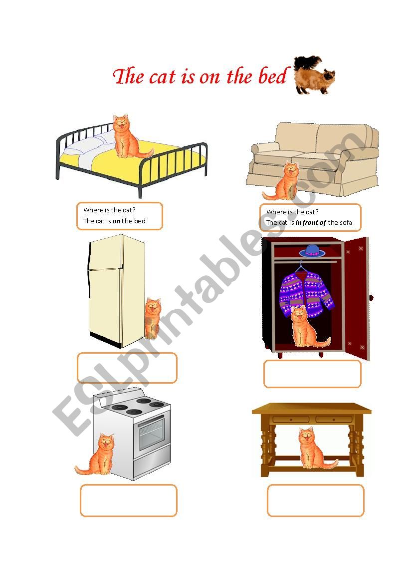 simple preposition for young learner