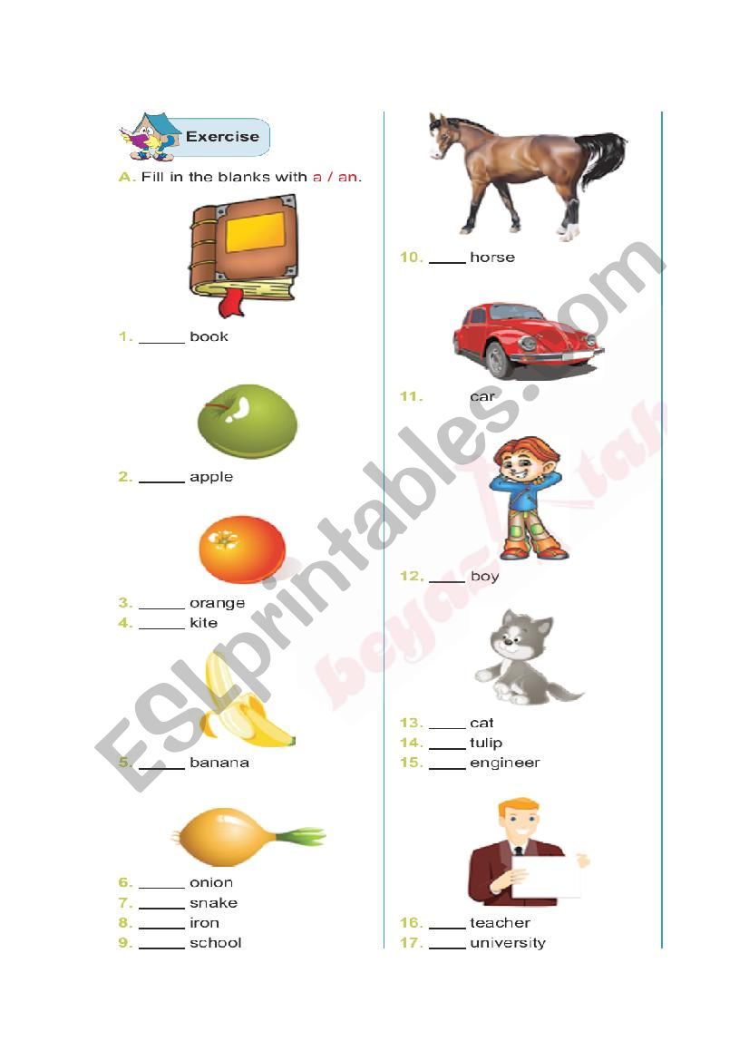 A-AN worksheet