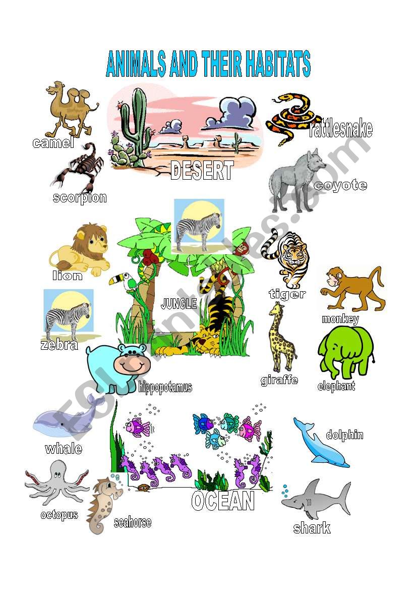 Animals And Their Habitat ESL Worksheet By EvaRamos