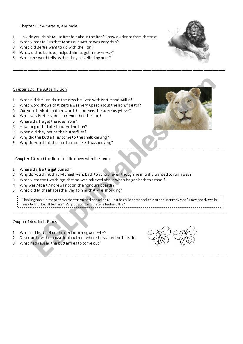 Butterfly Lion Chapter 11-13 worksheet