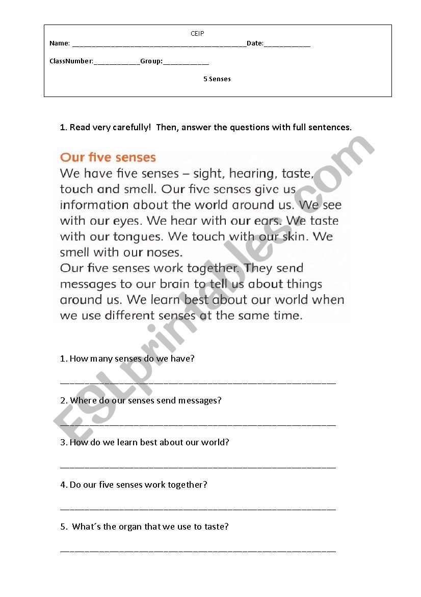 5 Senses Activities worksheet