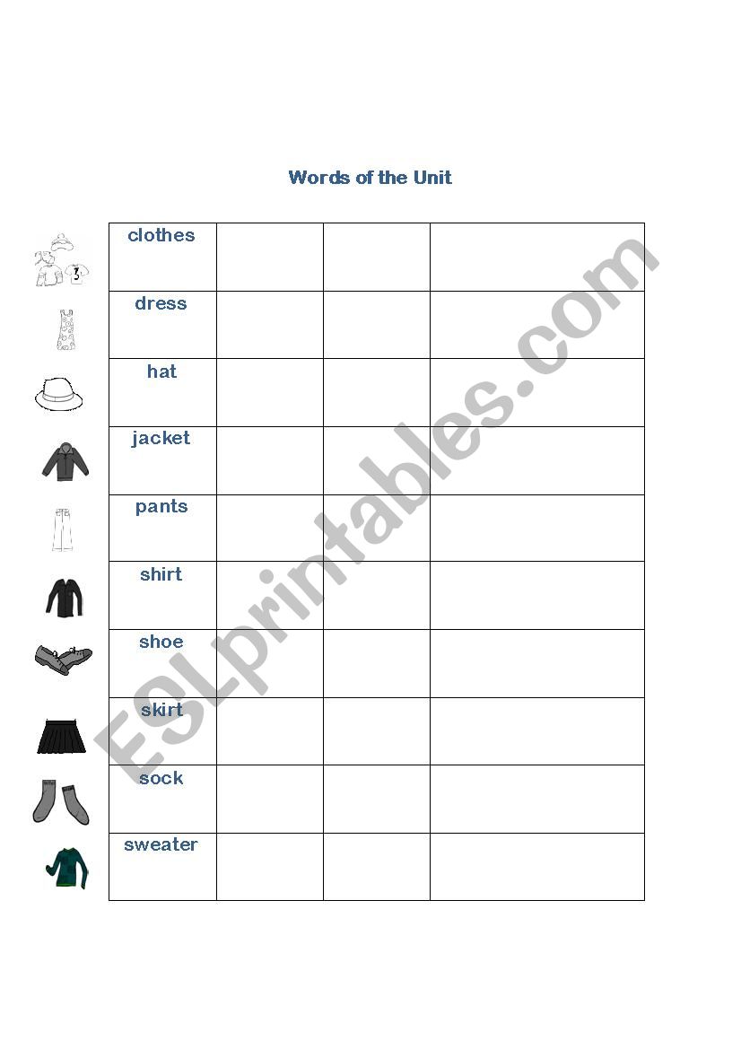 Vocabulary worksheet