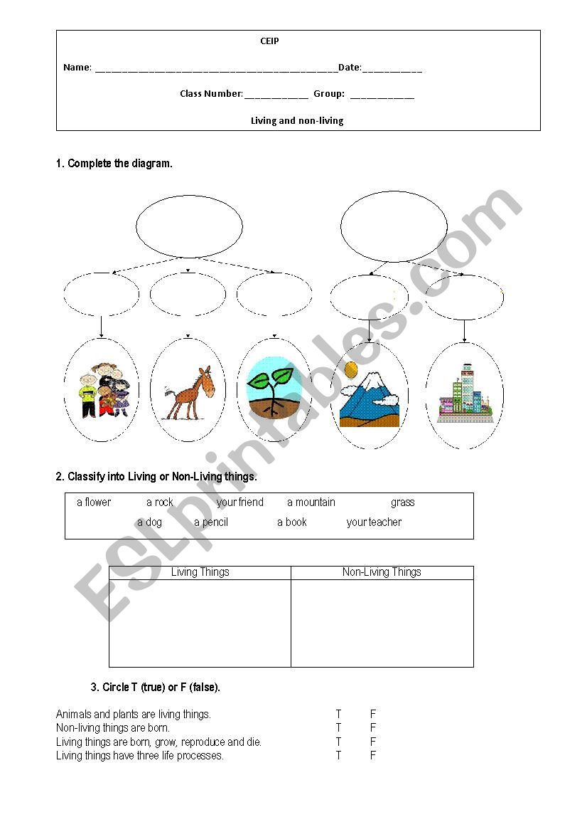 Living and non-living worksheet