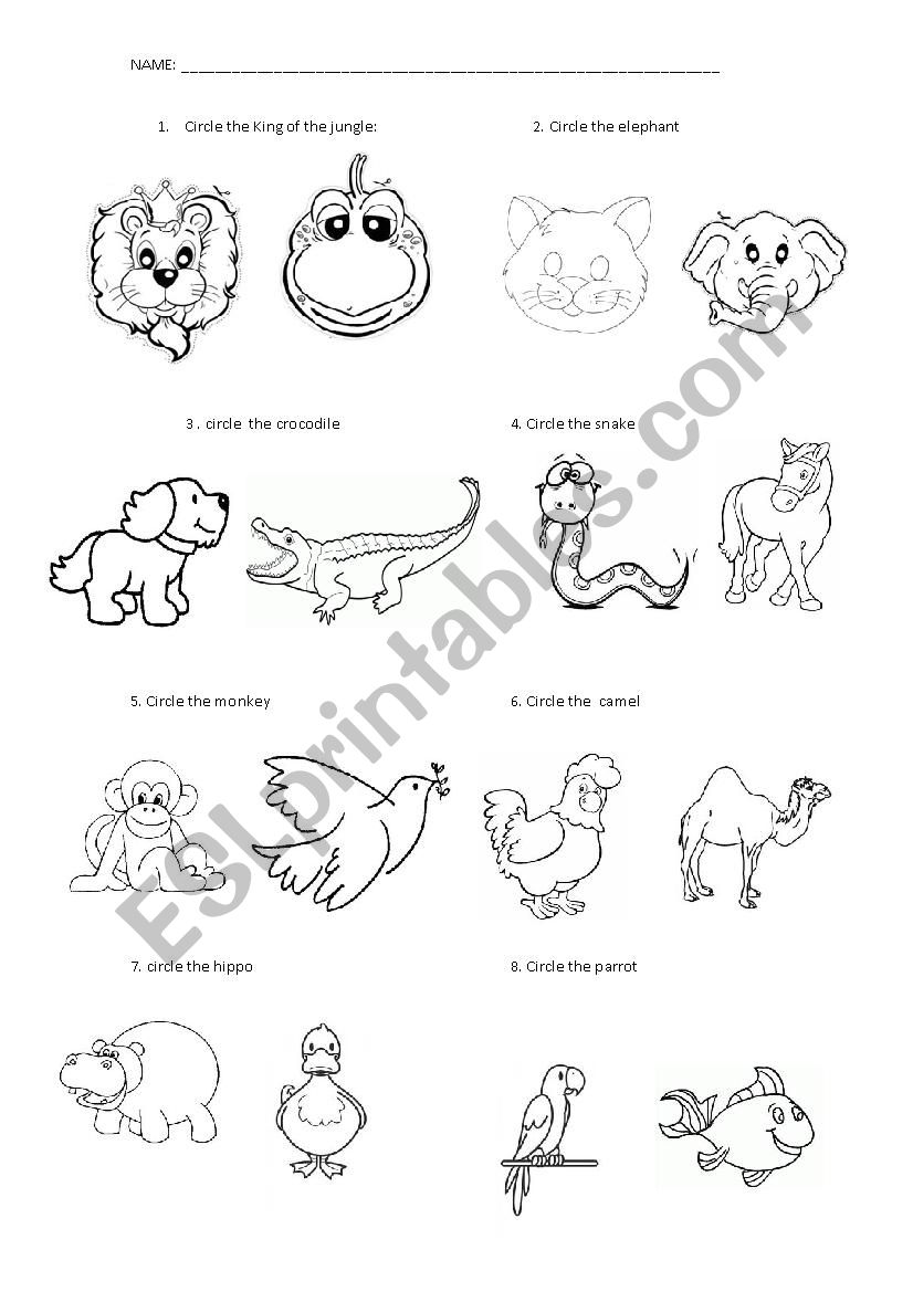 ANIMALs worksheet