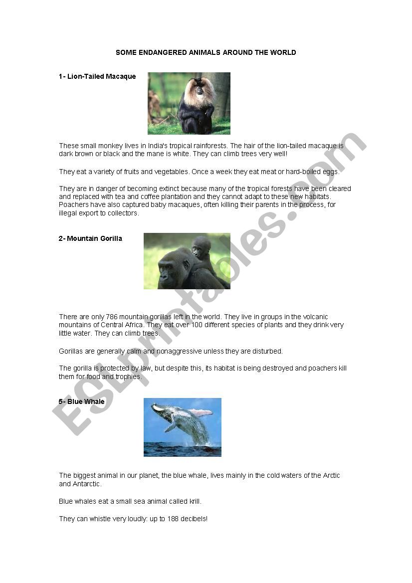Endangered animals worksheet