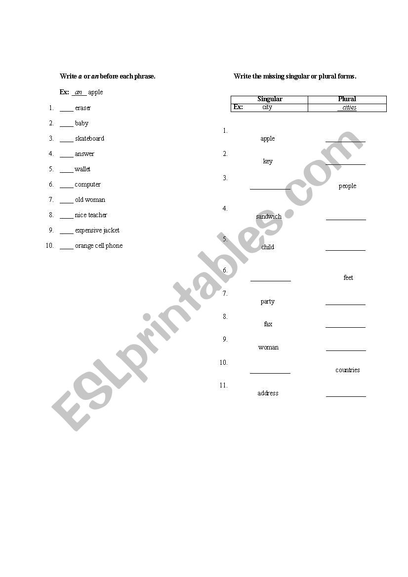 singular-and-plural-exercises-esl-worksheet-by-sandrasilvia