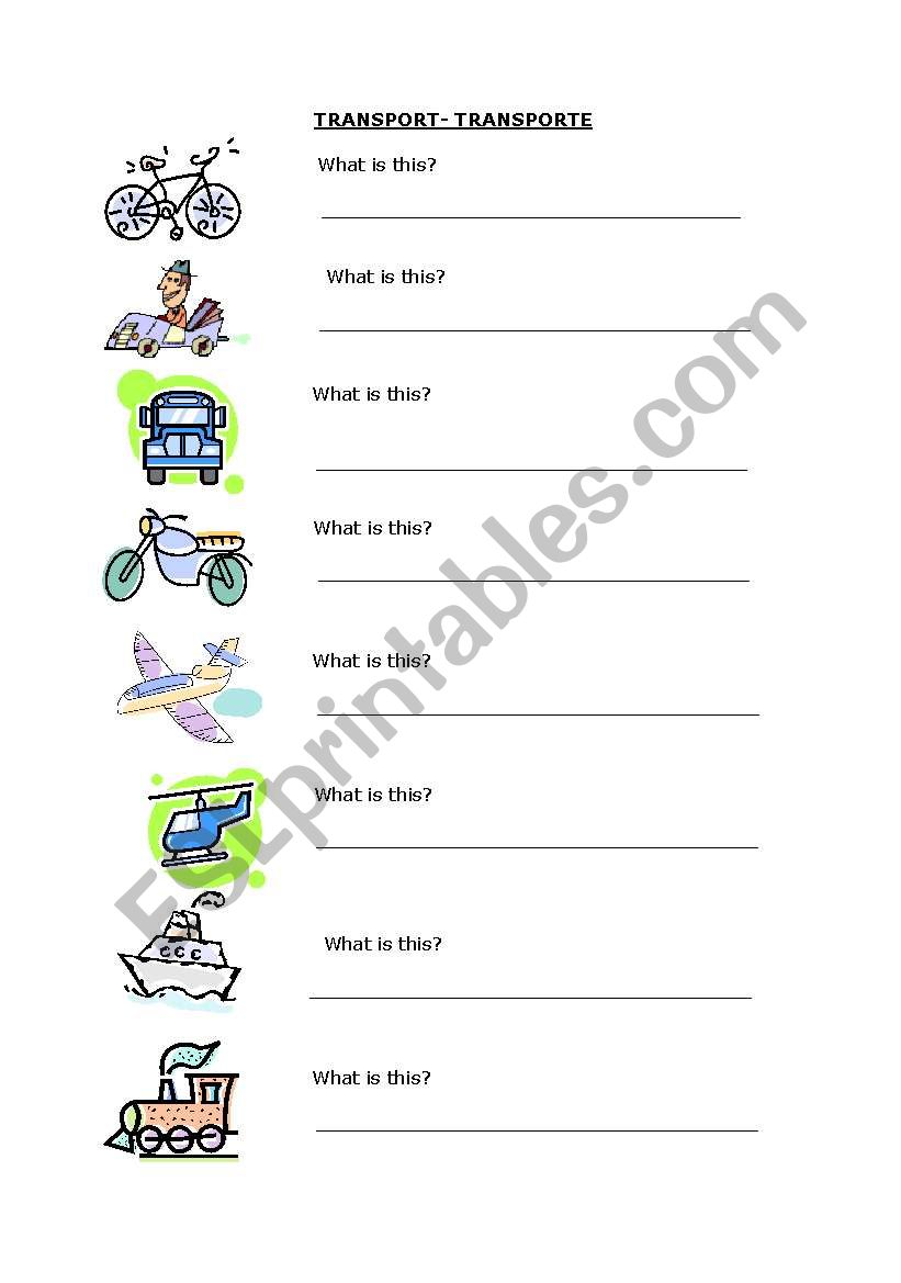 Vocabulary Transport  worksheet