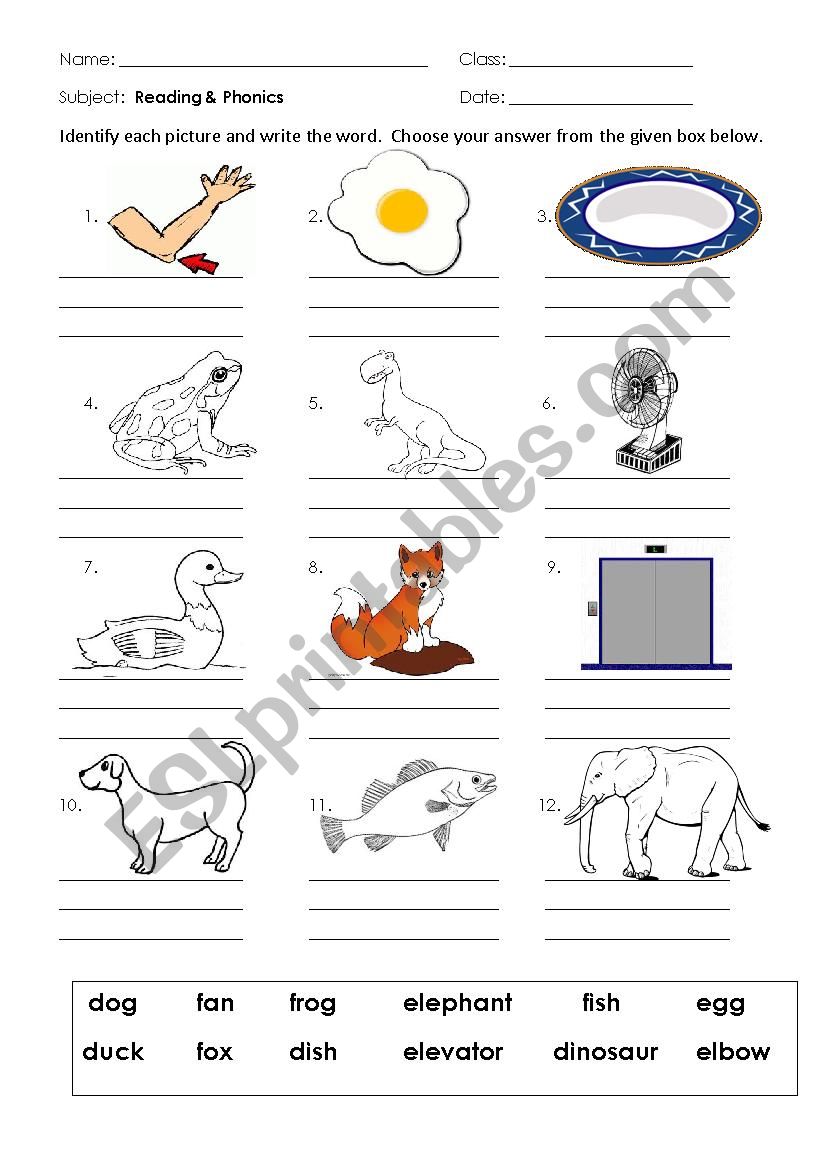 Phonics D-F worksheet