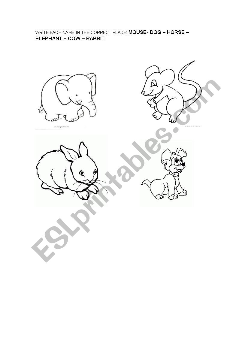 animals worksheet