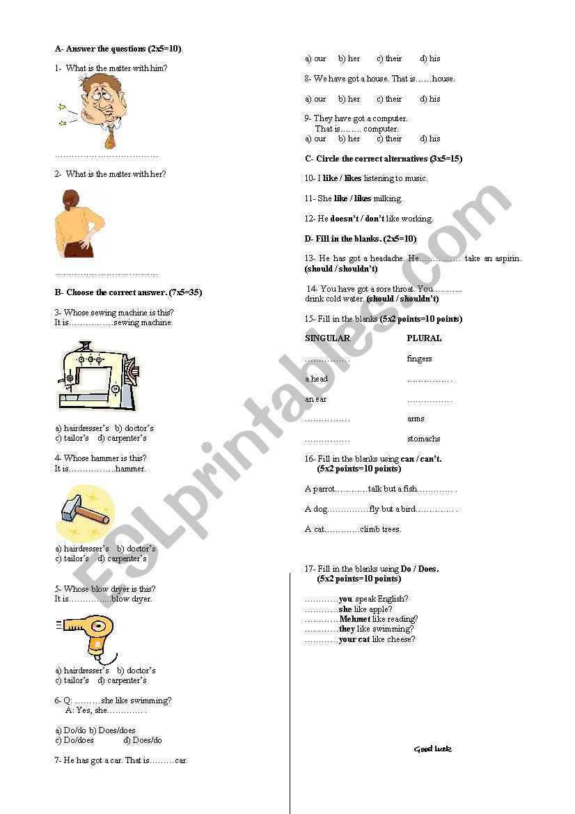primary test on english worksheet
