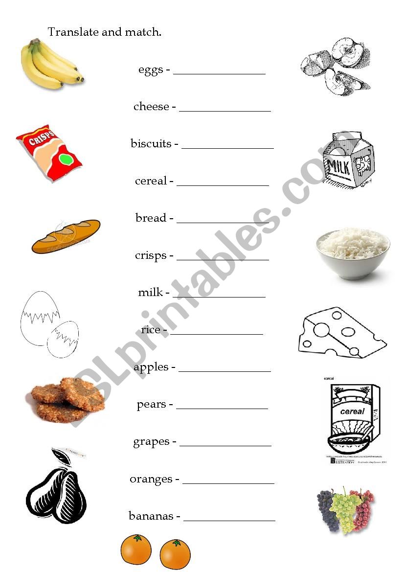 Food worksheet