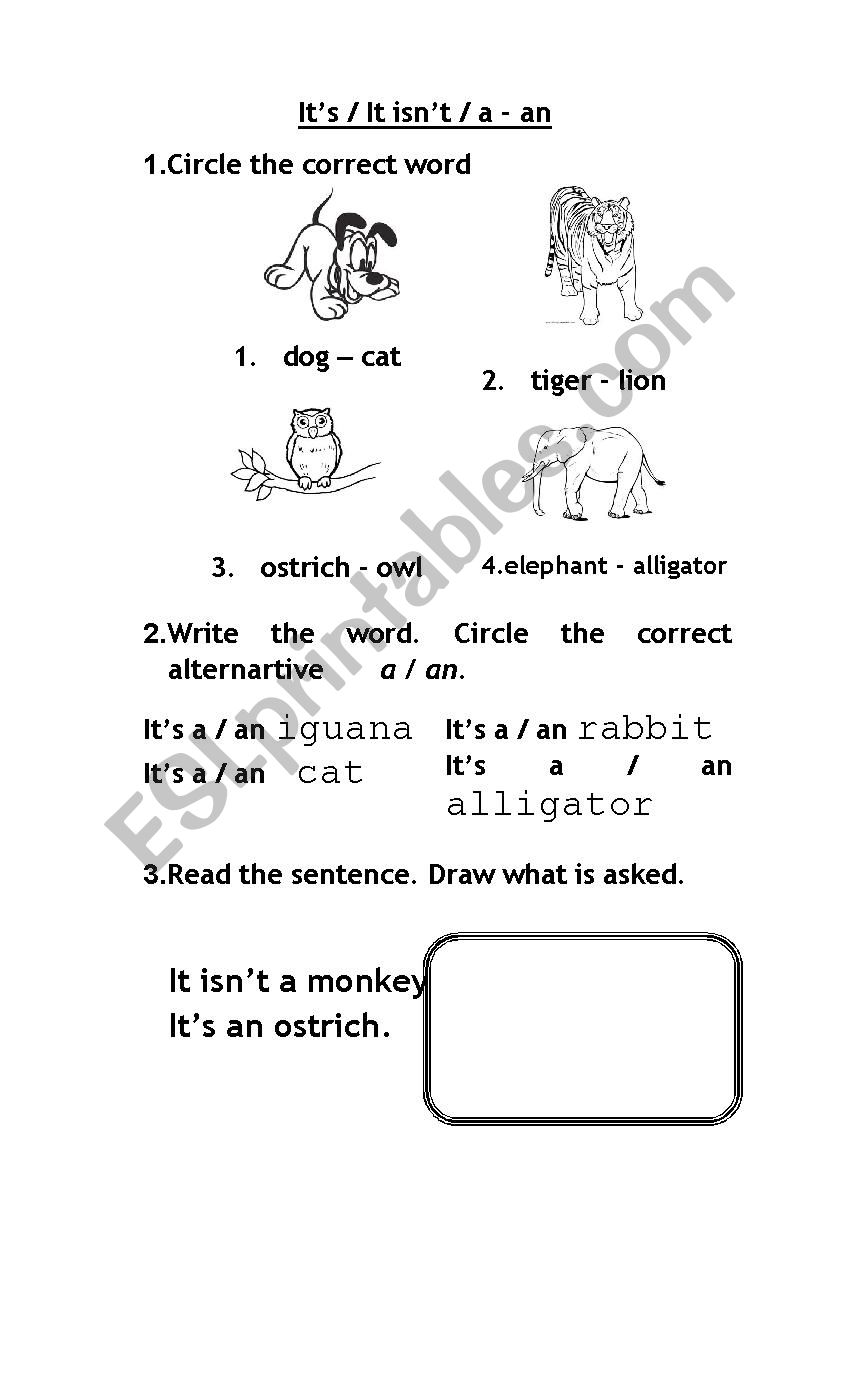 Animals Practice  worksheet