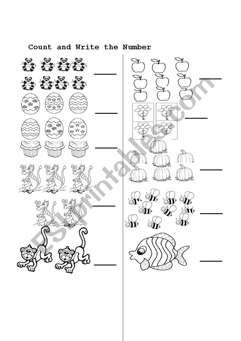 Numbers worksheet