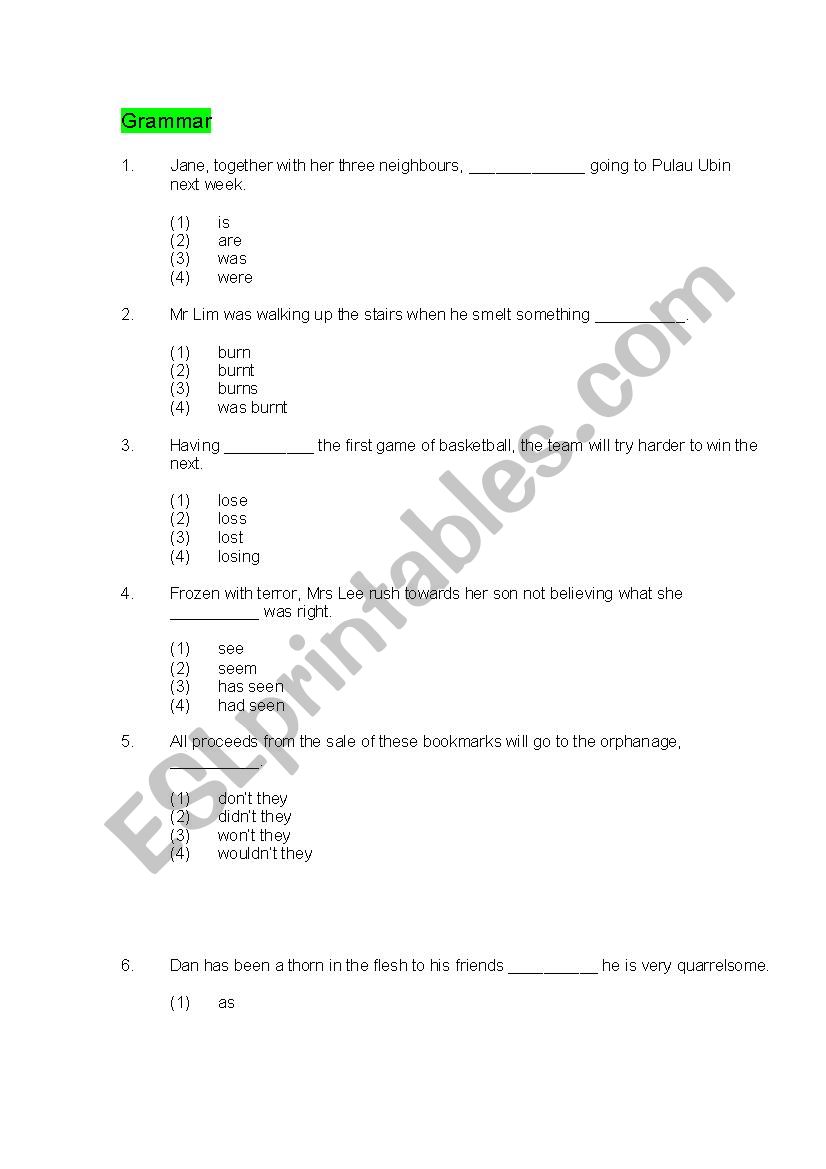 English test elementary worksheet