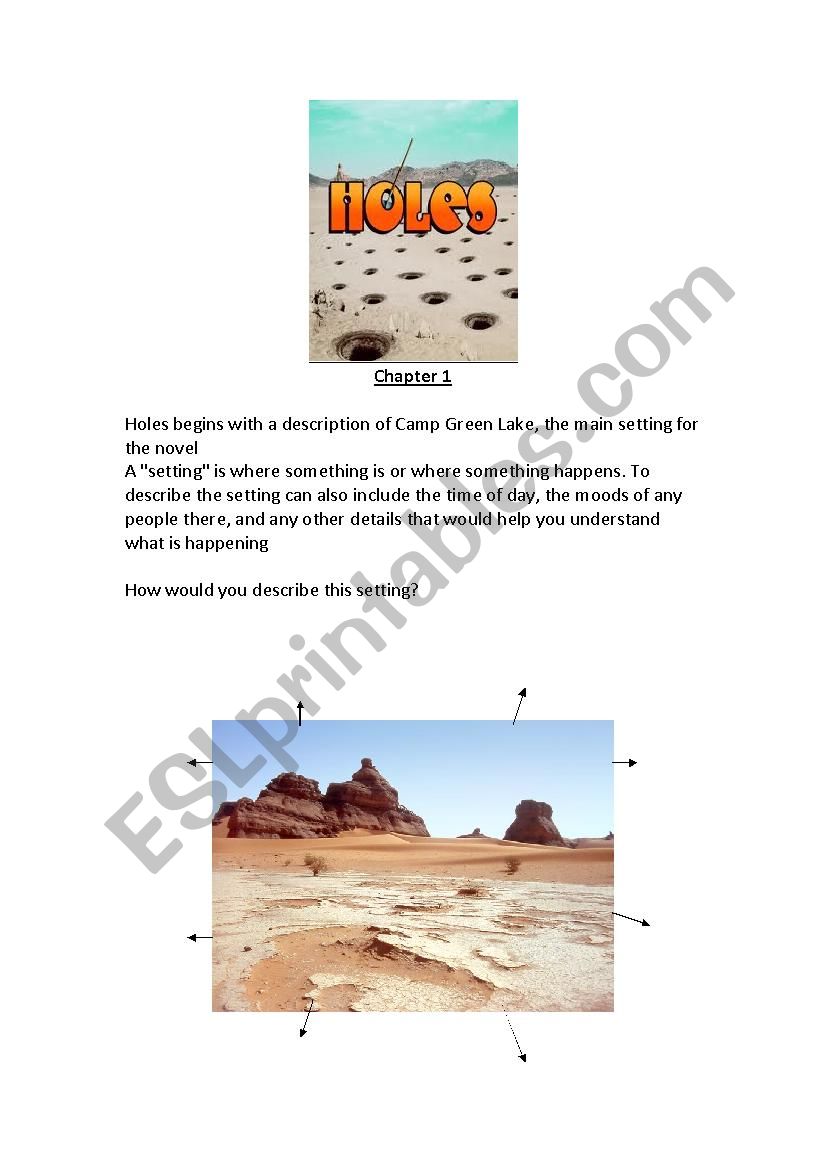 Reading guide to Sachar´s Holes - ESL worksheet by susannista