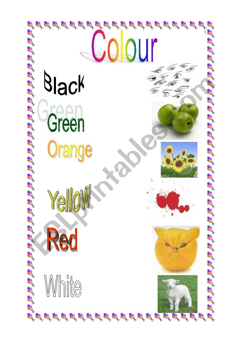 colour worksheet