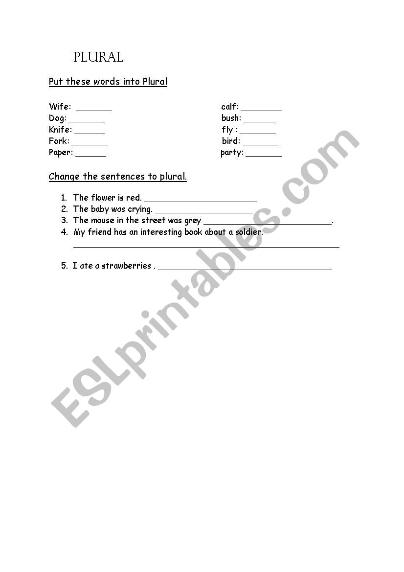 Plurals worksheet