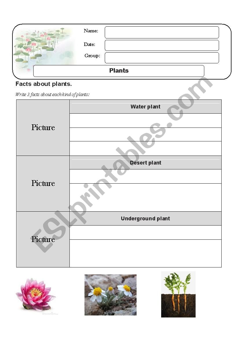 Plants1 worksheet