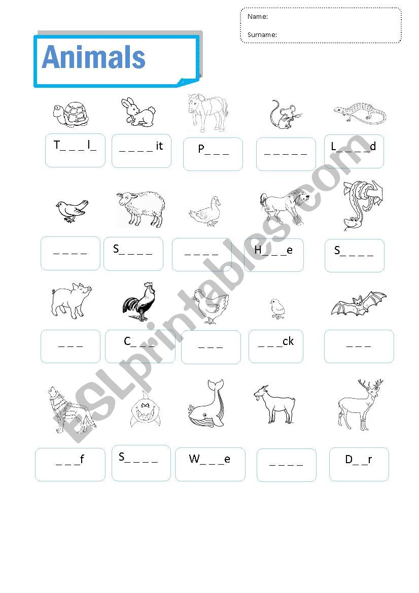 Animals examn - ESL worksheet by ItsasneArraiza