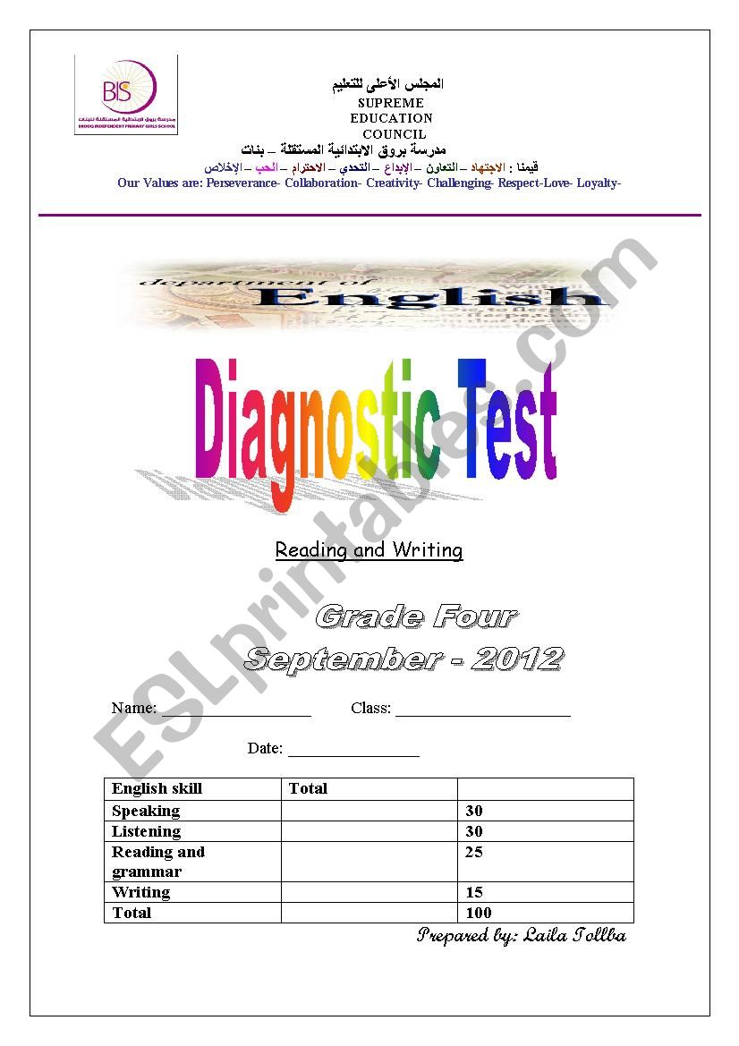 Diagnostic Test  worksheet