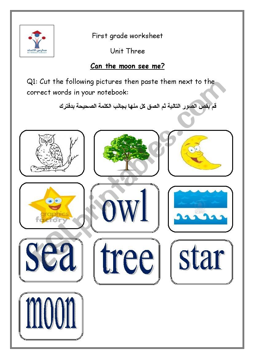 vocabulary worksheet worksheet