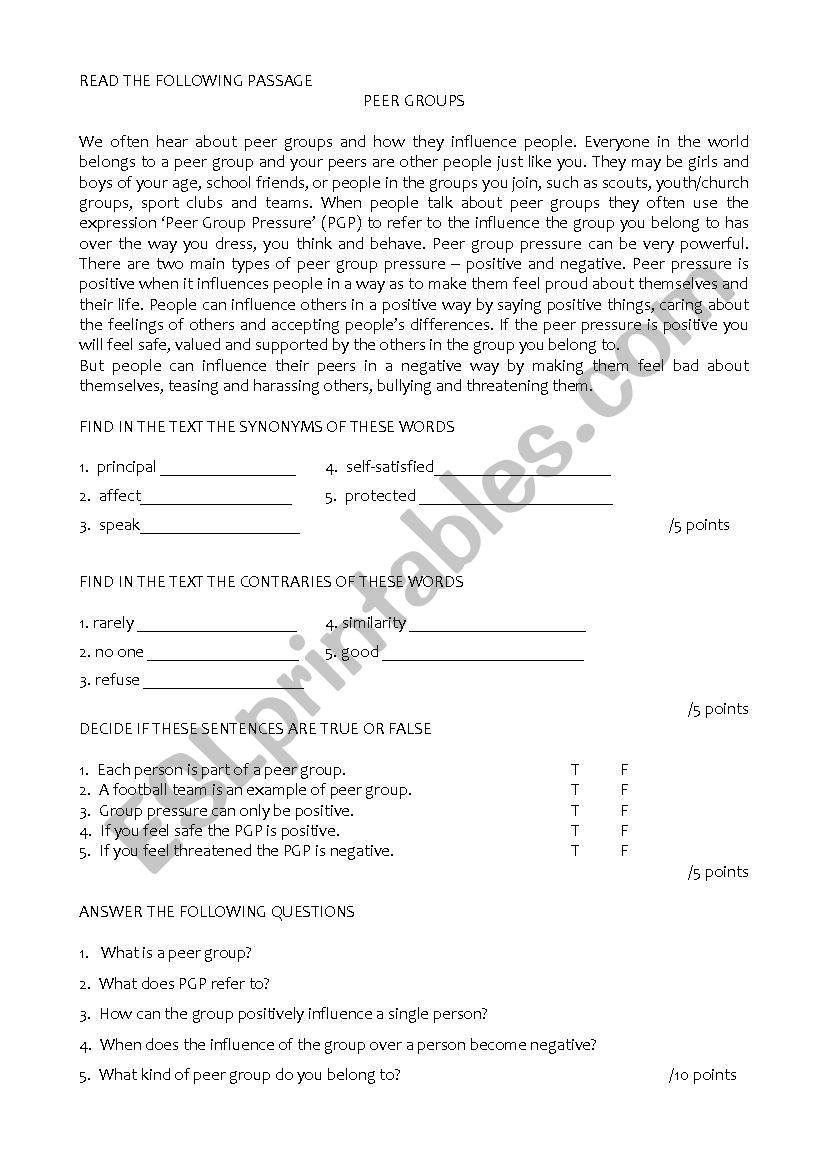 Peer Groups worksheet