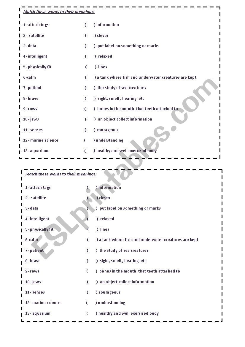 words and meanings worksheet