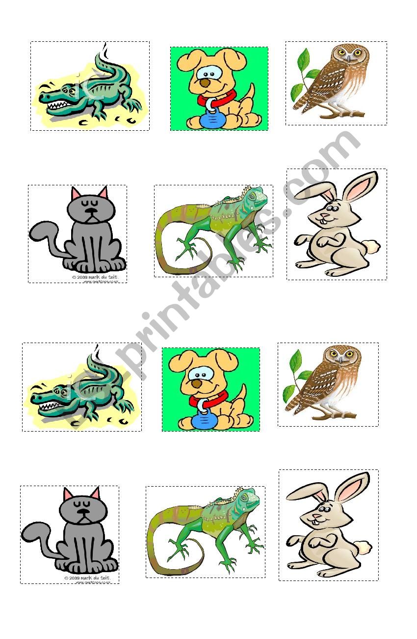 Animals worksheet