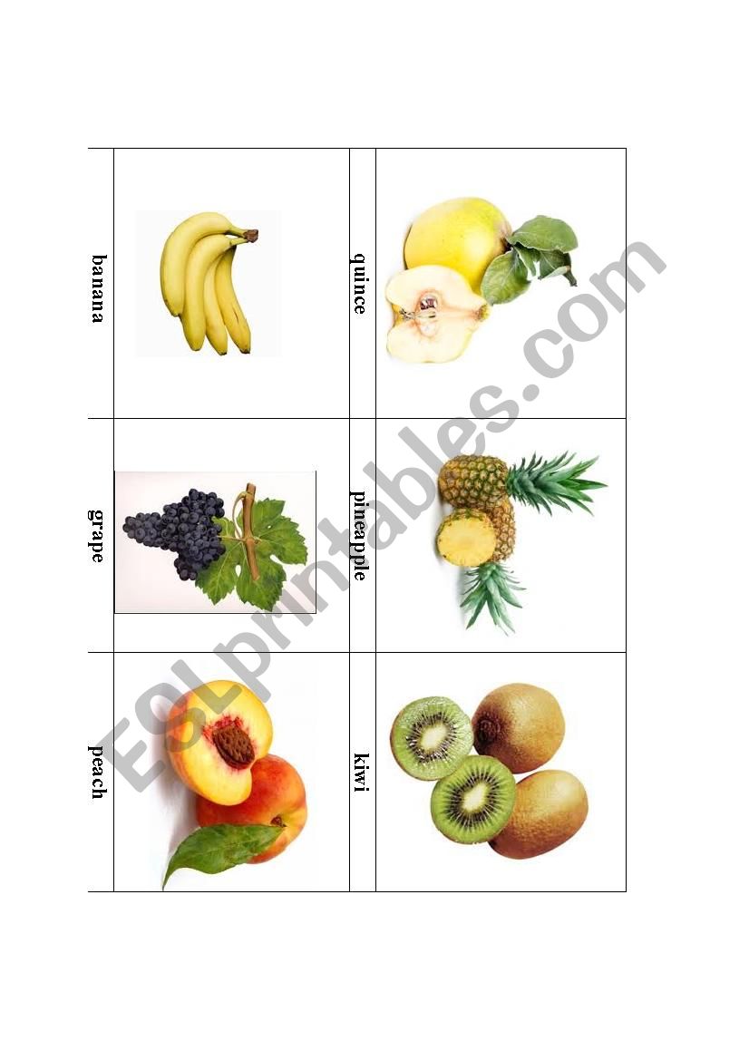 Fruit 1 worksheet