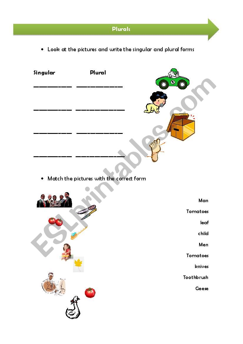 Plural form of nouns worksheet