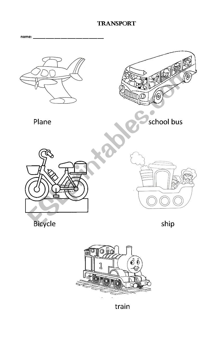 transport worksheet