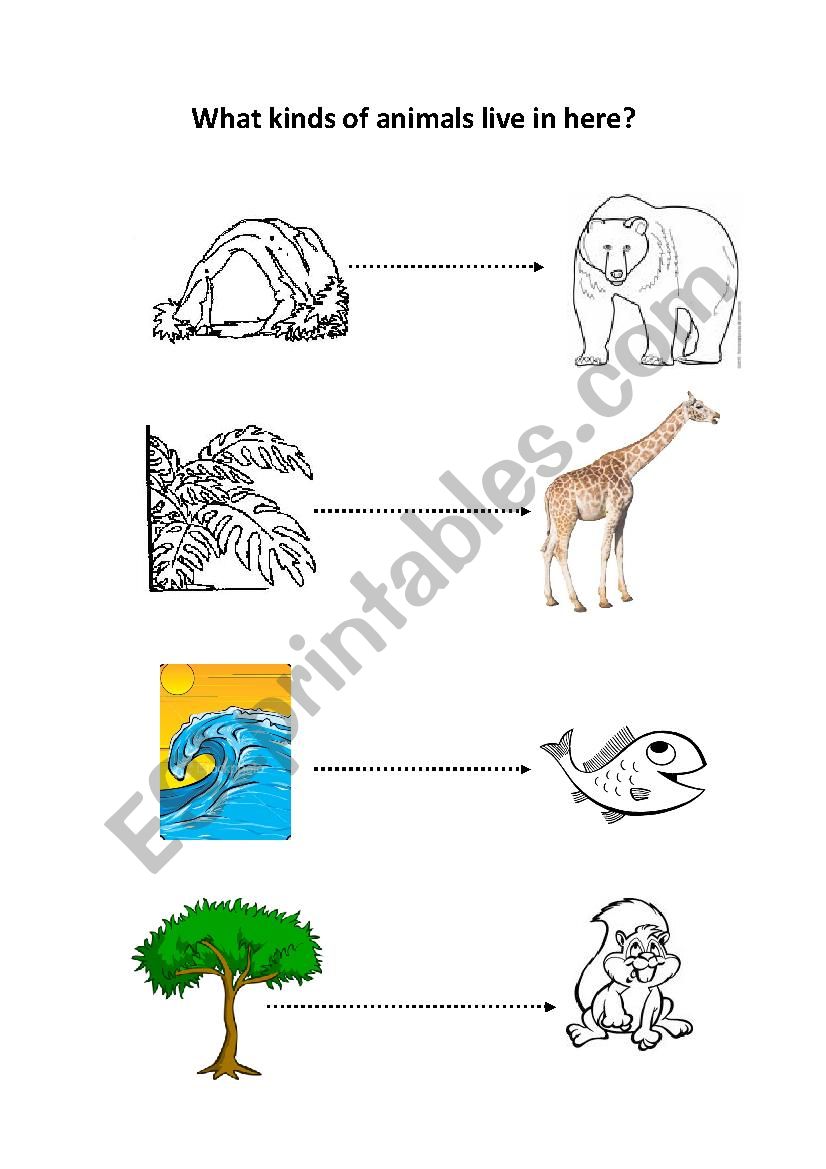 Animal Homes worksheet