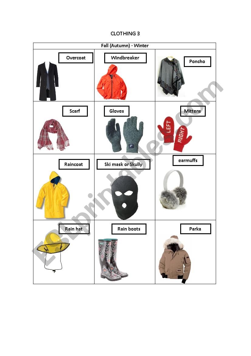 CLOTHING 3 worksheet