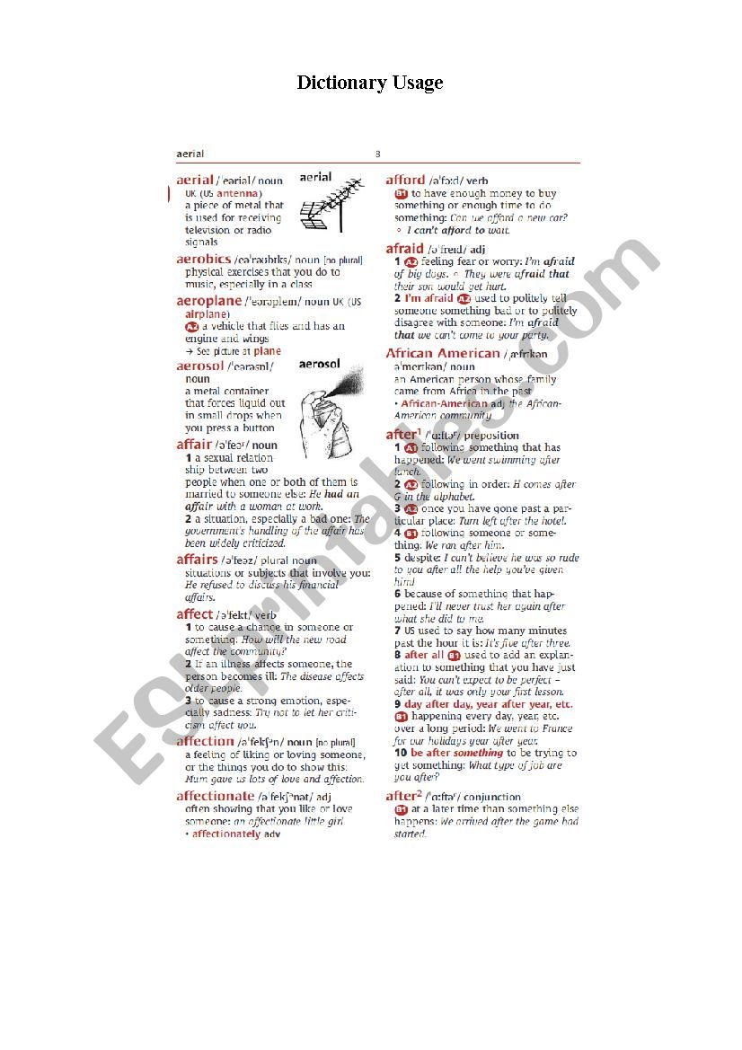 Dictionary Usage worksheet