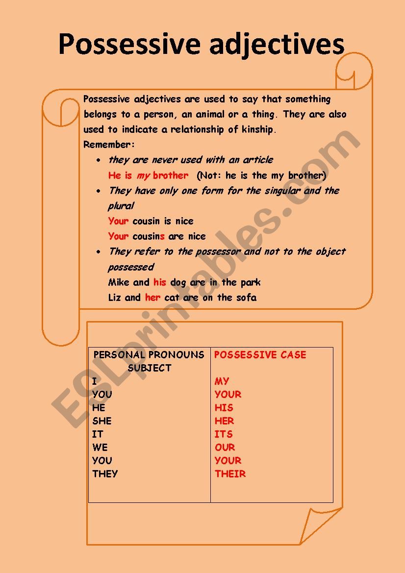 Possessive adjectives worksheet