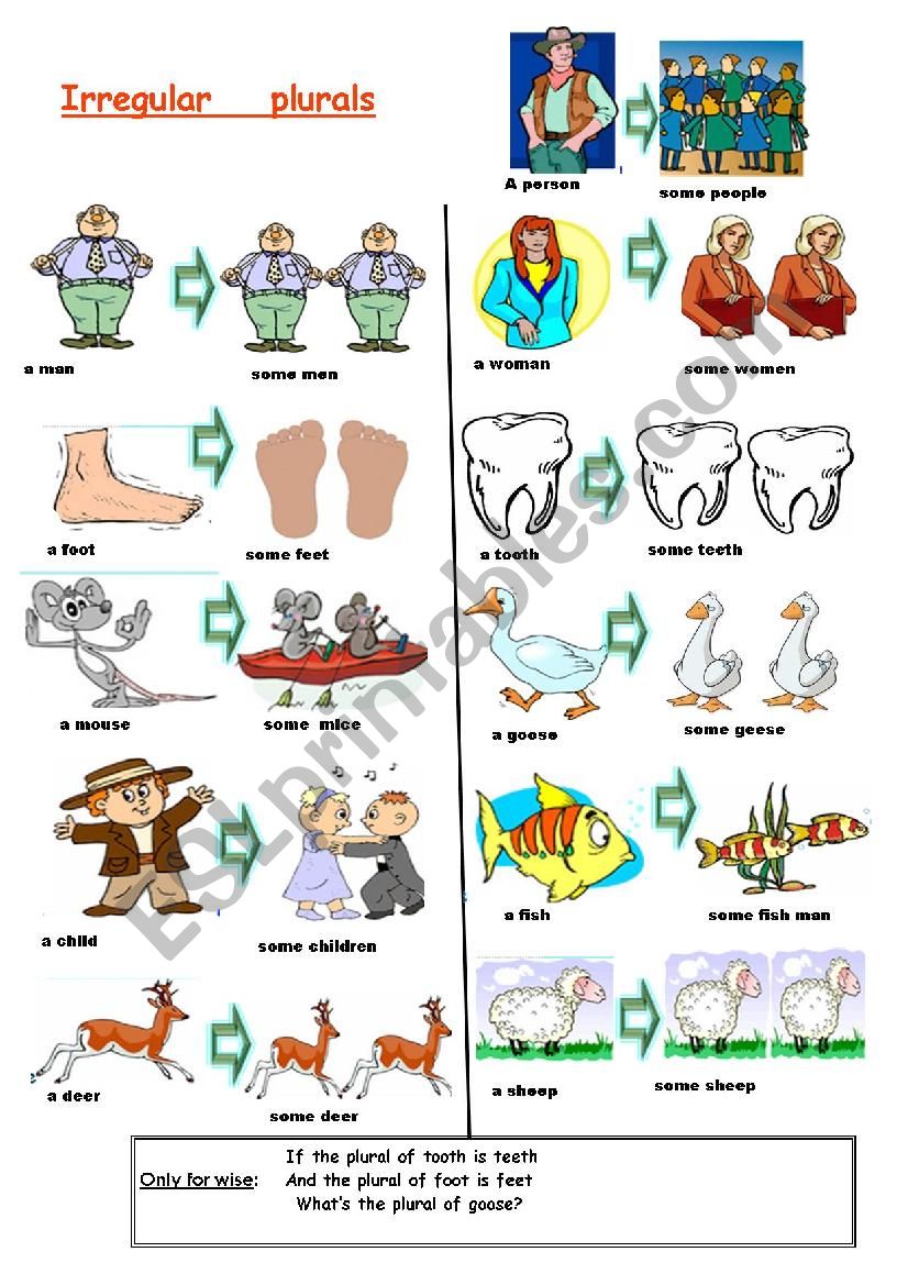 basic irregular plurals worksheet