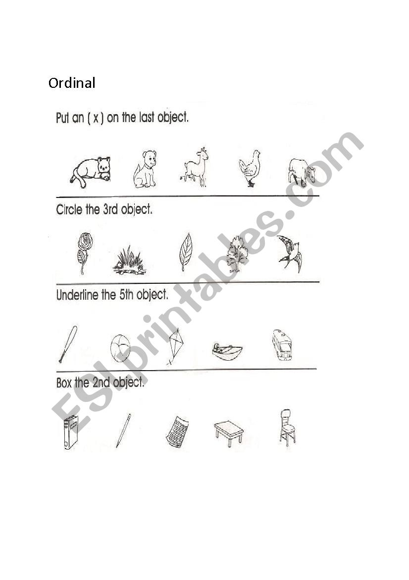 Ordinal worksheet