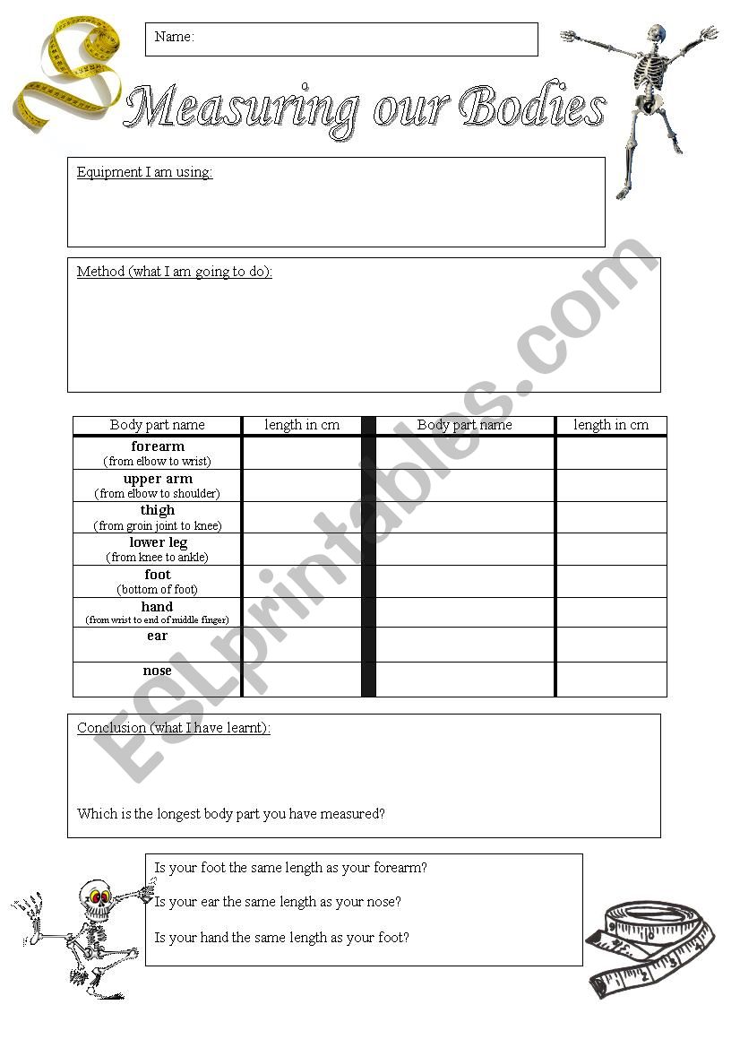 Measuring our bodies worksheet