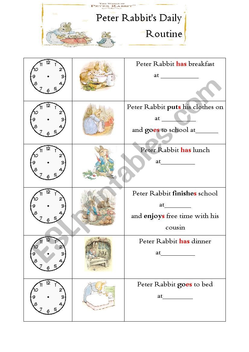 peter-rabbit-s-daily-routine-esl-worksheet-by-missbee50