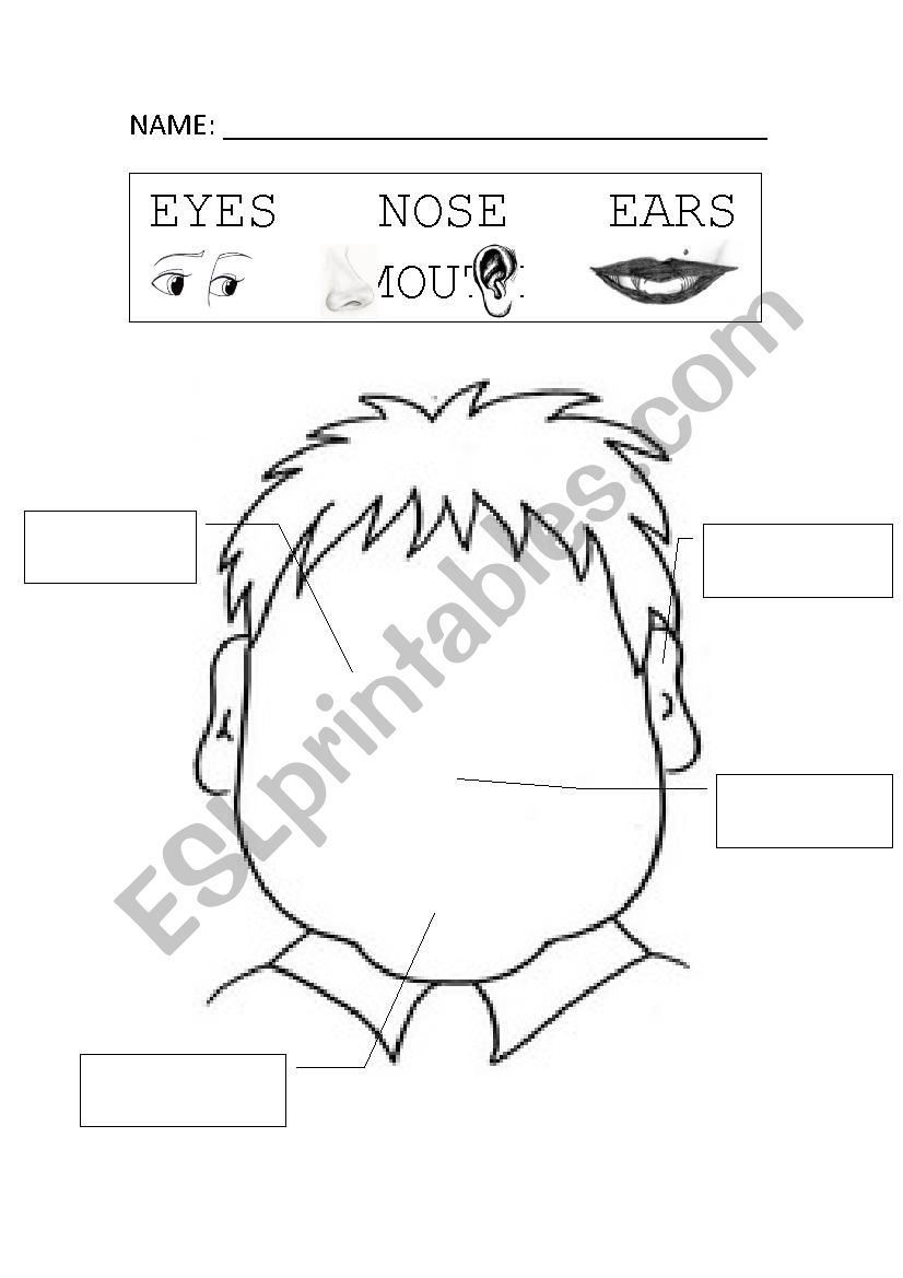 Face worksheet