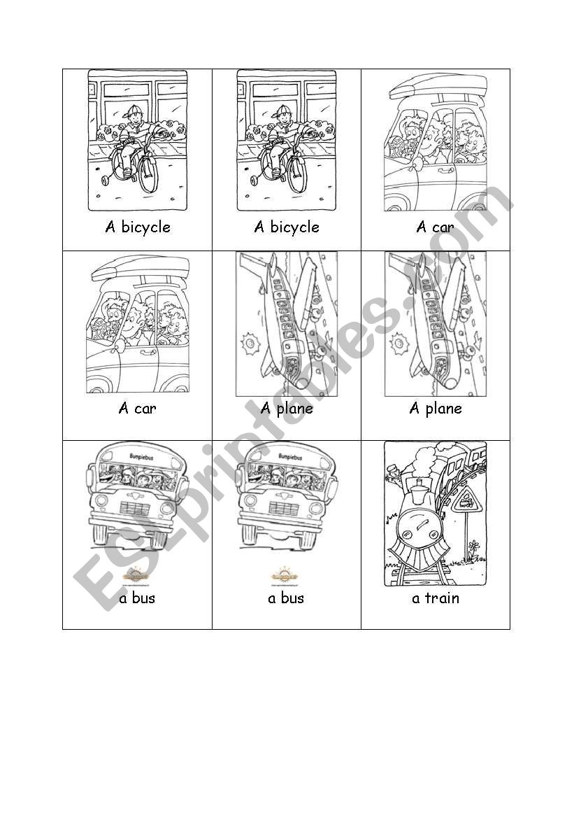 TRANSPORT MEMORY worksheet